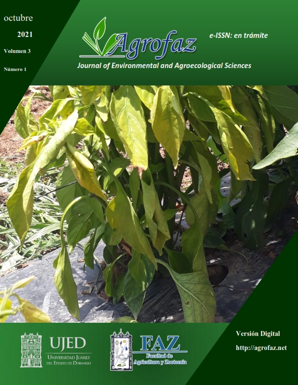 POrtada_vol_3_num_1_001.jpg