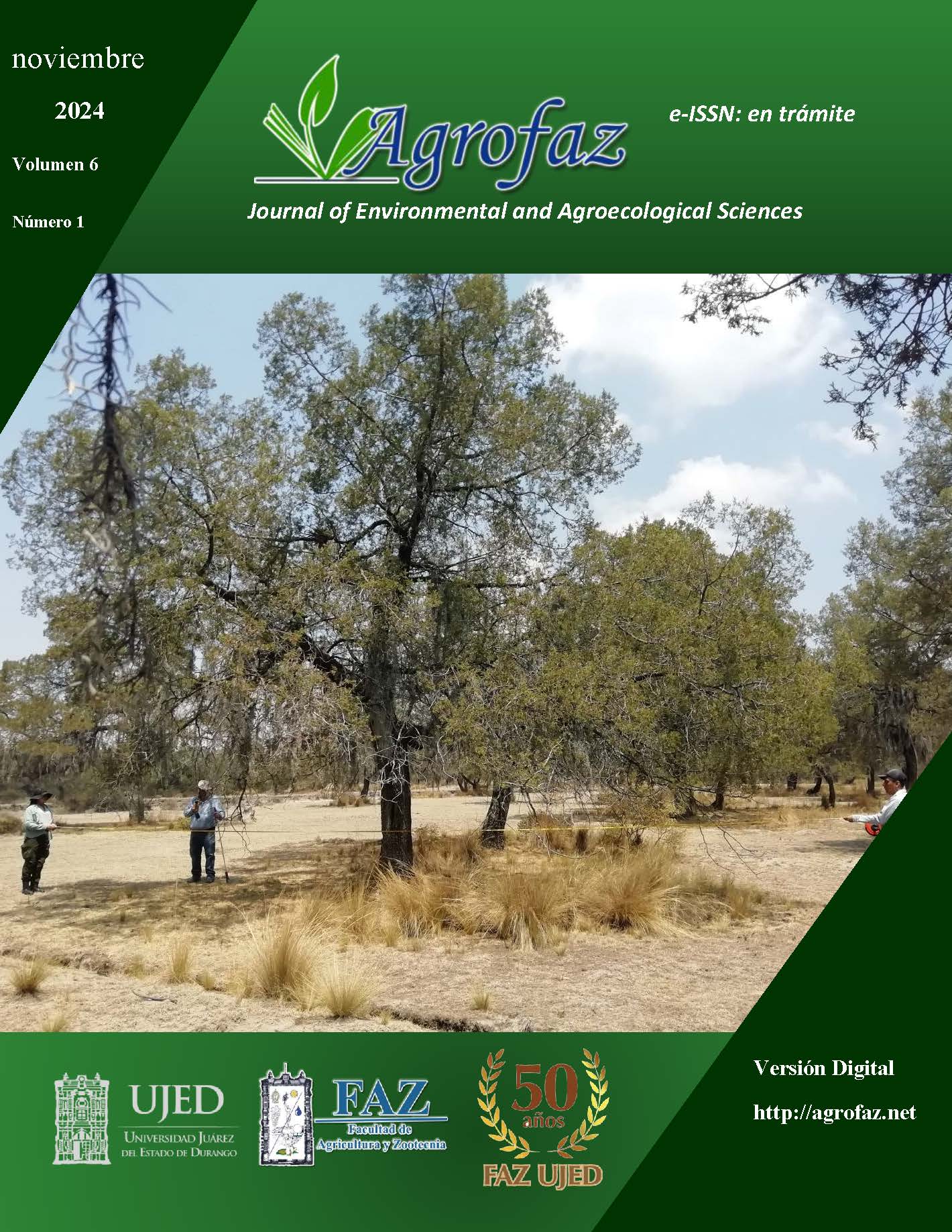 POrtada_vol_6_num_11.jpg